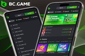 Experience the Thrill of BC.Game Crypto Casino